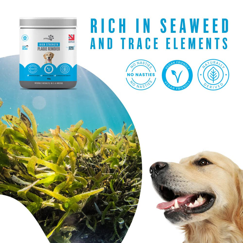 Plaque Off Powder for Dogs and Cats – 100% Natural Dental Care, Helps Reduce Tartar & Bad Breath, Easy Food Topper for Daily Oral Hygiene, Dog Plaque Remover for Teeth (150g) 150g
