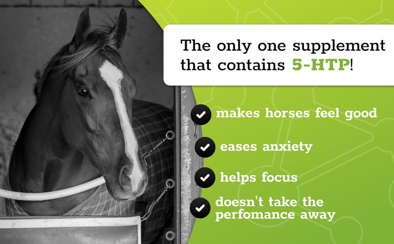 SynChill Oral Horse Calming Gel, 100% Natural & Nutritional Supplement, Lab Proven Results, Designed for Focus & Performance, Approved by Olympic Professionals & Veterinarians, Made in USA - 3-Pack - BeesActive Australia