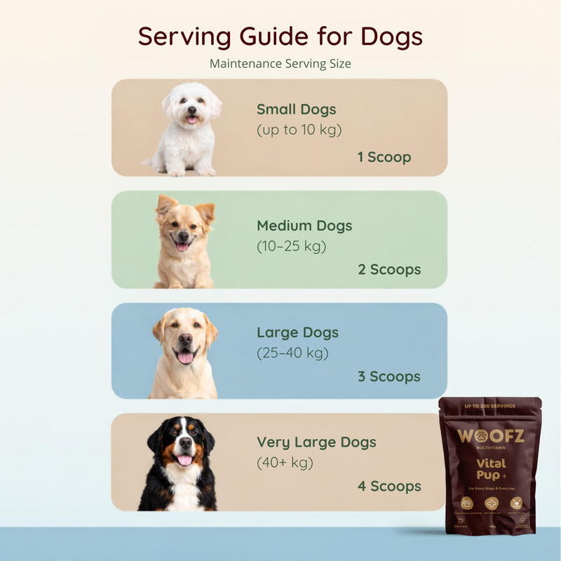 Vital Pup + Dog Multivitamin Powder, 13 Essential Vitamins & Minerals, Daily Wellness Formula, 500g, up to 200 Servings