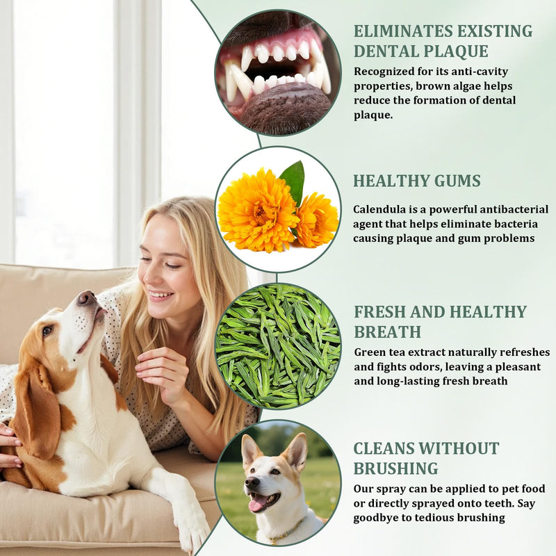 Denta Cleaning Spray for Dogs & Cats, 2 Pcs Dog Dental Spray, Natural Breath Freshener, Supports Gum Health, Easy Spray Use, 100ml
