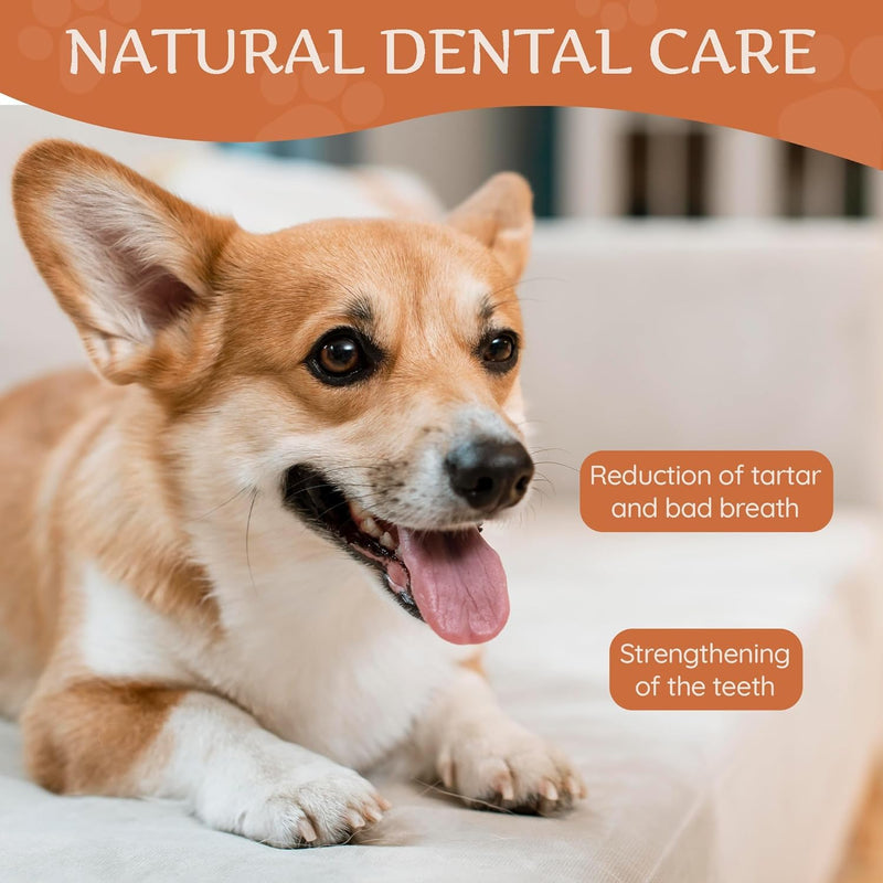 Wildfang® Yak Chews, X-Small for Dogs Under 22 lbs – Dog Dental Chew Stick, Hardness Like Himalayan Yak Cheese, Churpi-Style Cheese Sticks, Dog Treats & Puppy Training Treats, Approx 1 oz, Pack of 3 XS (Dogs under 22 lbs)