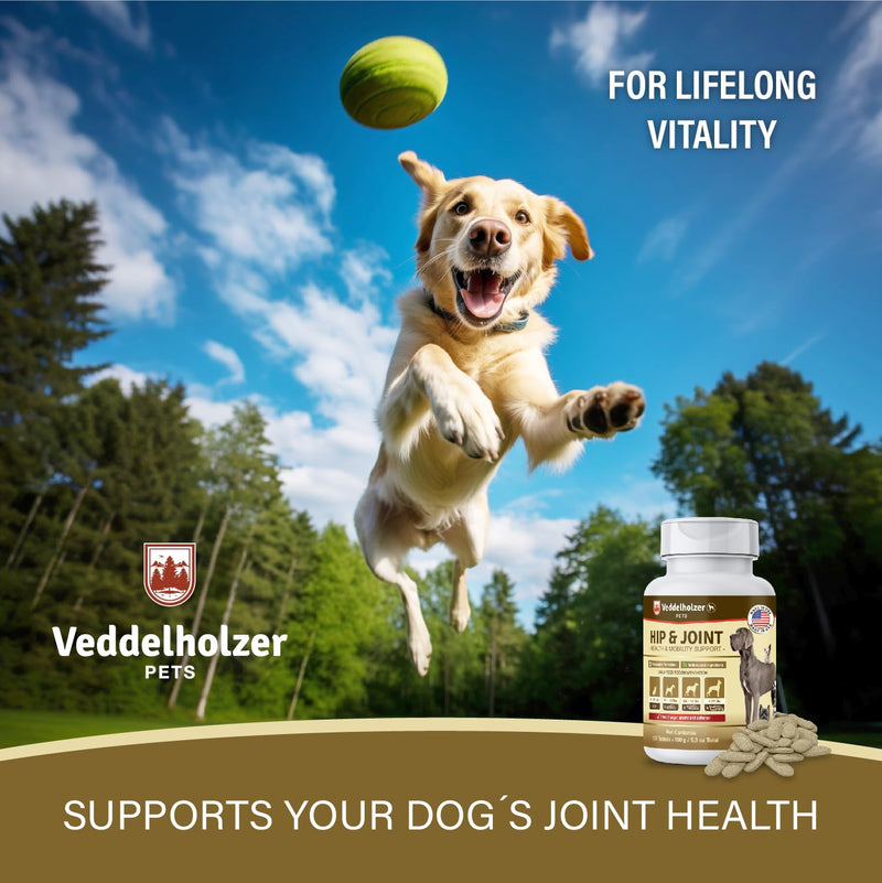 Veddelholzer Dog Joint Supplement Tablets – Hip & Joint Support with Glucosamine, Chondroitin, MSM & Turmeric – Mobility, Flexibility & Comfort Aid for Large & Small Breeds – Vet Recommended