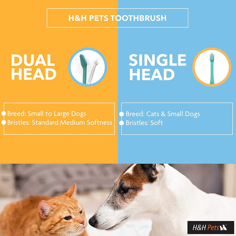 H&H Pets Toothbrush for Small Dogs & Cats - Soft and Small Toothbrush Designed for Cats, Puppies, and Small Breed Dogs Like Teacups, Chihuahuas, Yorkshire, and Poodle, 8 Count Pack 8 Count (Pack of 1) - PawsPlanet Australia