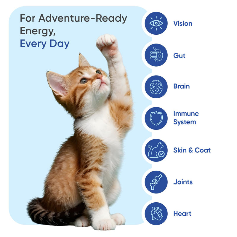 Multivitamins and Minerals for Cats - 365 Chicken-Flavoured Tablets - With 18 Vitamins & Minerals - Supports Natural Immunity - Easy to Crush Tablets - Suitable for Cats of All Breeds