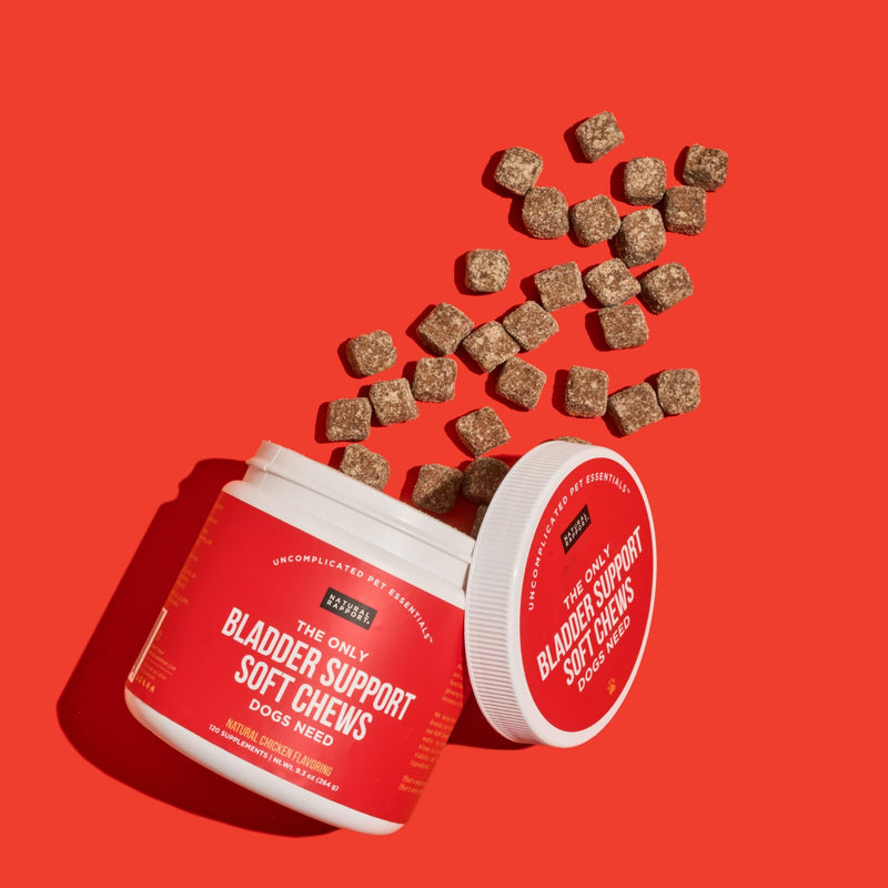 Natural Rapport Dog Bladder Support - The Only Bladder Support Chews Dogs Need - 120ct Supplements that Contain Cranberry and D- Mannose to Aid in Kidney Function Bladder Chew