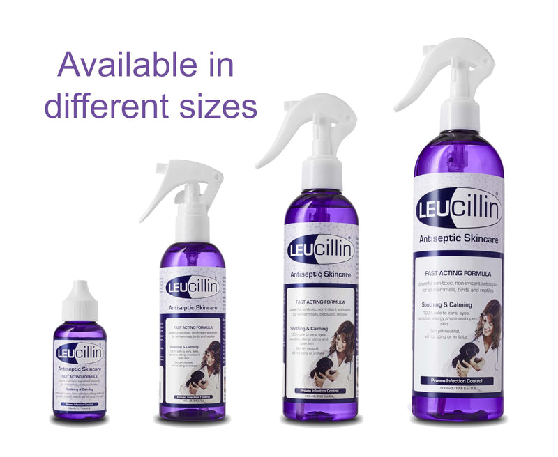 Leucillin Natural Antiseptic Spray - Antibacterial Antifungal Antiviral for Dogs Cats All Animals Itchy Skin Minor Wound Care and Skin Health | 250ml 250 ml (Pack of 1)