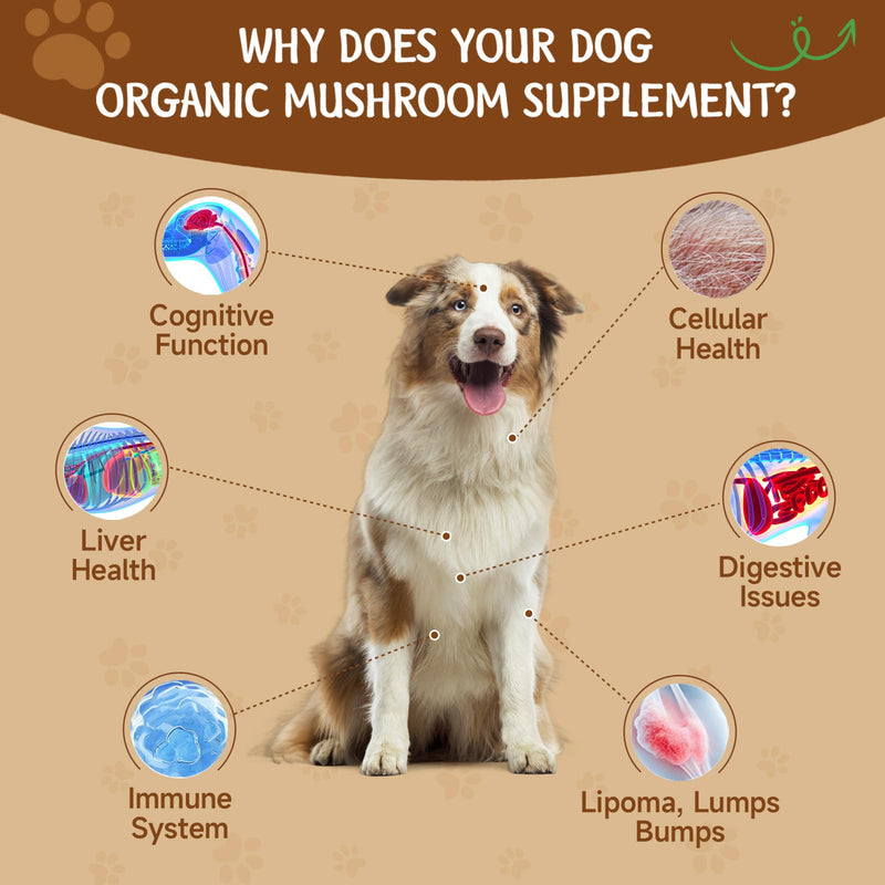 Mushroom for Dogs - Turkey Tail for Dogs - 9 Organic Mushroom Supplement with Turkey Tail, Reishi, Lions Mane - Hip & Joint, Skin & Coat, Digestive, Cellular, Immune Health Support - Chicken Flavor
