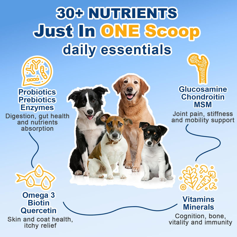 Dog Allergy Relief Chews, Dog Vitamins Multivitamin Powder - PawsPlanet Australia