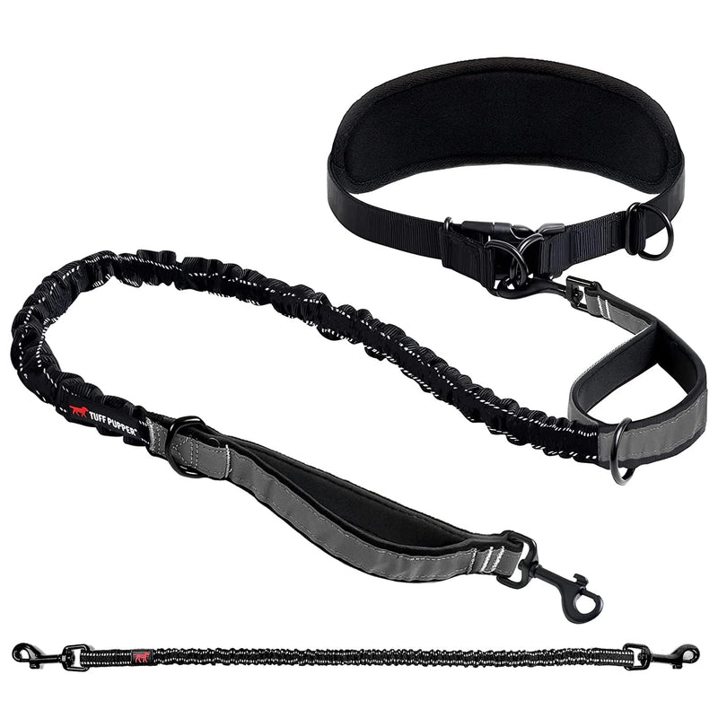 Add-On Accessory Bungee Leash and Hands Free Dog Leash - One Small/Medium Dog Up to 45 lbs