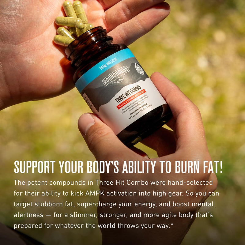 ROUNDHOUSE PROVISION Three Hit Combo by Chuck Norris ‚Äì Fat Burner, Energy Booster & Wellness Support ‚Äì 30-Day Supply (60 Capsules) - BeesActive Australia