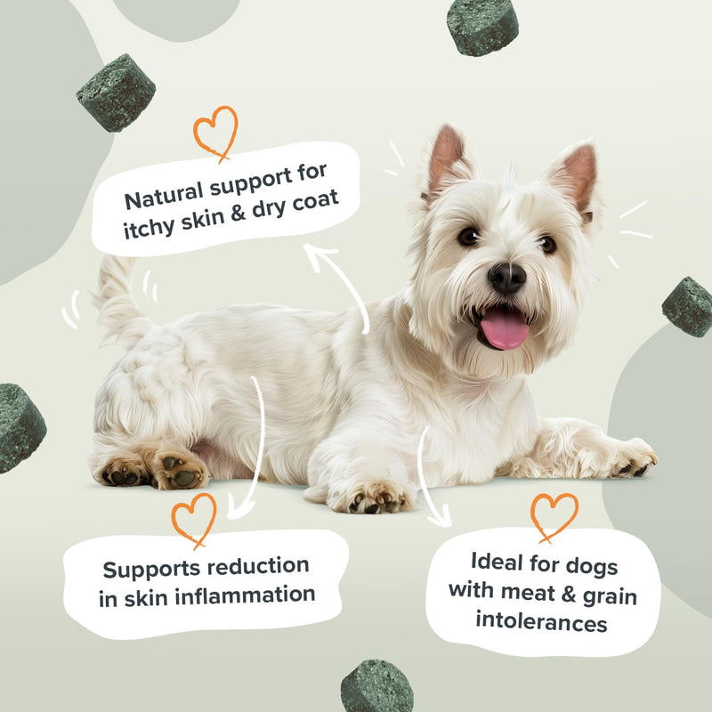 Skin & Coat Soft Chew Dog Supplements – Daily Care for Healthy Skin & Coat with L-Methionine, Zinc, Biotin & Spirulina and Omega 3 EPA & DHA – 60 Soft Chews 60 Chews