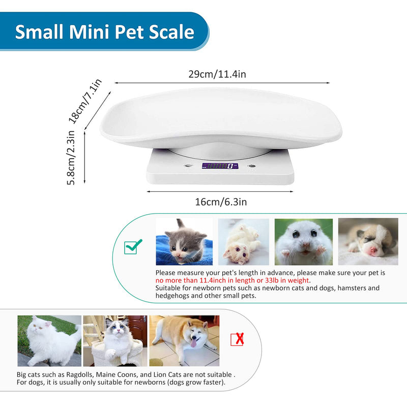 Puppy Scales for Weighing, Cat Weight Scale, 33lb/15kg Vegetables Fruits Kitchen Electronic Weight Scale with Tape Measure, for Kitten/Puppy/Hamster/Little Bird/Rabbit white 15kg - PawsPlanet Australia