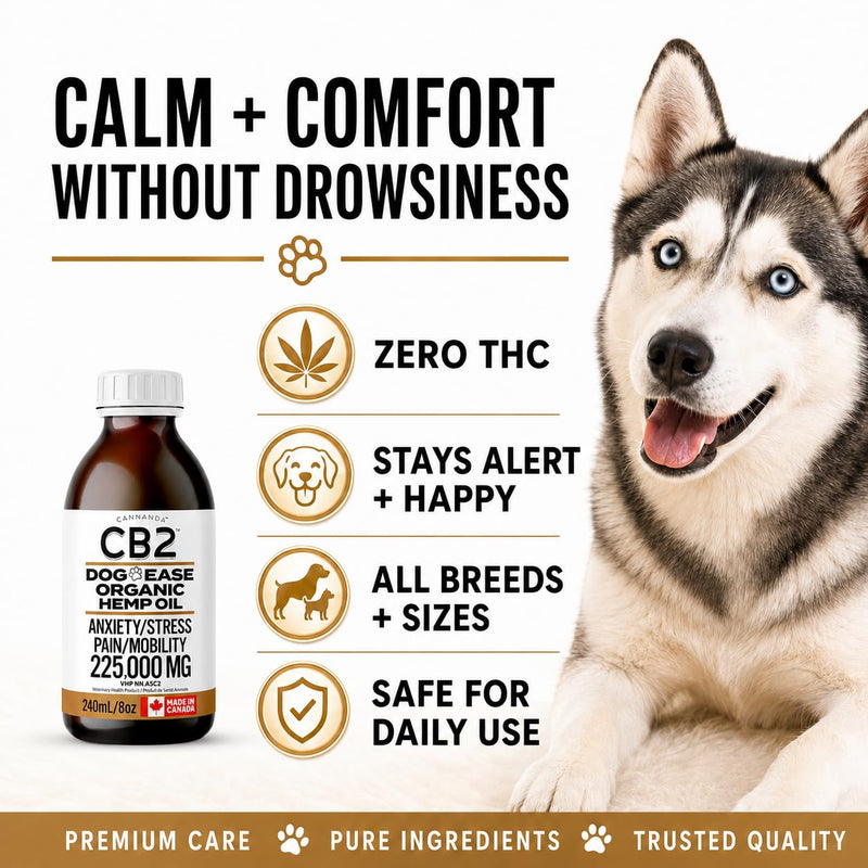 CB2 HEMP SEED OIL FOR DOGS. Extra Strength For Pain & Anxiety. Advanced Hip & Joint Supplement. Calming & Relaxing Effect. Improves Mobility. All-Natural. 240mL/8oz EXTRA LARGE Bottle.