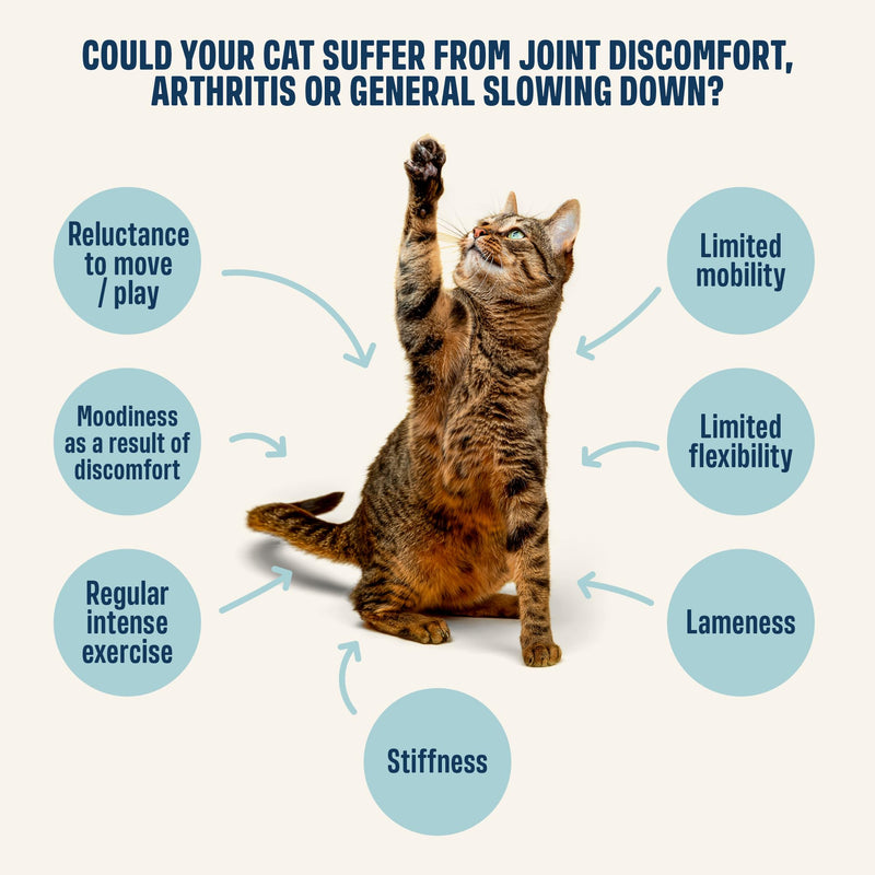 ivvi Hip & Joint for Cats – Functional Cream with Glucosamine, Chondroitin, Green-Lipped Mussel & Salmon Oil – Mobility Support – 30 x 0.53 oz Sachets – with Real Tuna