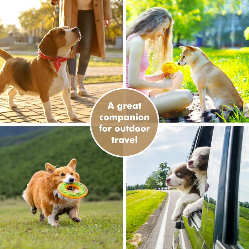 Travel Dog Bowls, Portable Food and Water Bowl for Dogs and Cats 2-in-1, Foldable Feeding and Food Storage Solution for Small & Medium Dogs, Ideal for Traveling & Camping (White, Small) white - BeesActive Australia