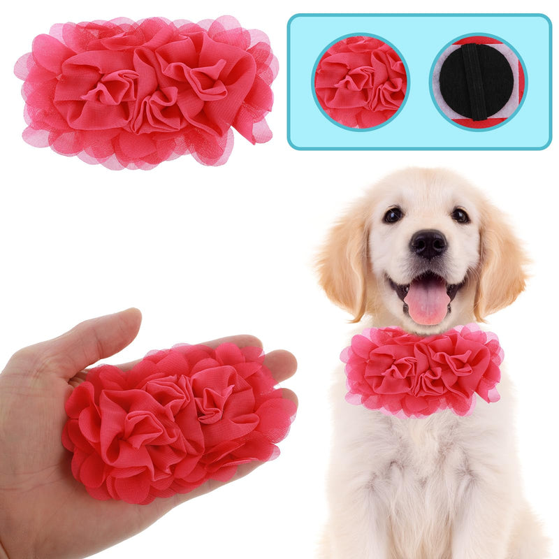 4 Pcs Dog Collar Flowers Attachement, Soft Chiffon Large Flowers Dog Collar Charms Removable Flower for Dog Collar Multi Color Dog Flower Collar Accessory for Female Dog - BeesActive Australia