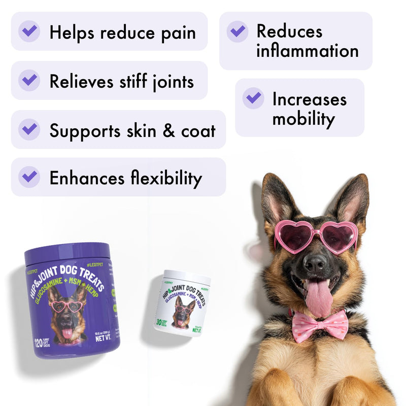 Hemp Hip & Joint Supplement for Dogs Soft Chews Made in USA Functional Glucosamine for Dogs Chondroitin MSM Turmeric Hemp Seed Oil Natural Pain Relief Mobility Advanced Joint 120 Treats Hip&Joint