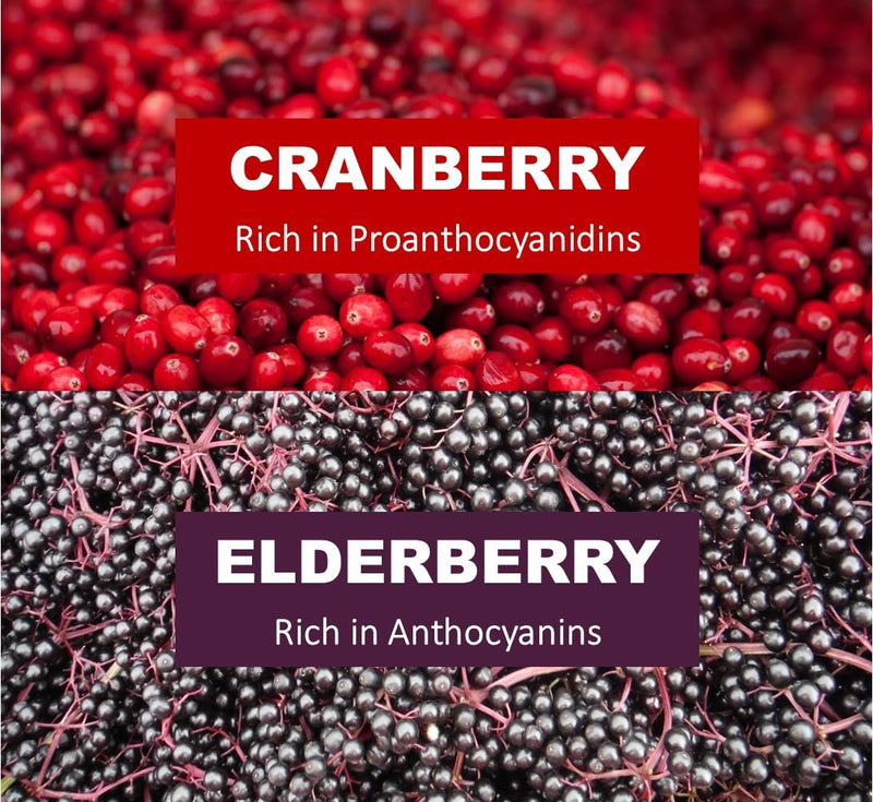 Immunia Urinary Health. Cranberry & Elderberry Concentrate for the Prevention of Urinary Infections. Natural. Delicious. 5 ml/Day. (1-Pack) 1 Count (Pack of 1)