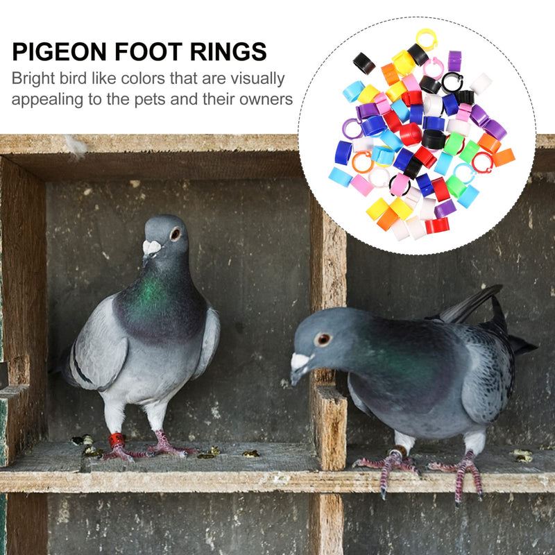 EXCEART Chicken Legs 100 Pcs Bird Rings Pigeon Foot Rings Plastic Multi- Colour Pigeon Foot Bands Clip on Multi- Color Leg Rings for Chicks Bantam Finch Dove Lovebird Quail Small Poultry Ringd - PawsPlanet Australia