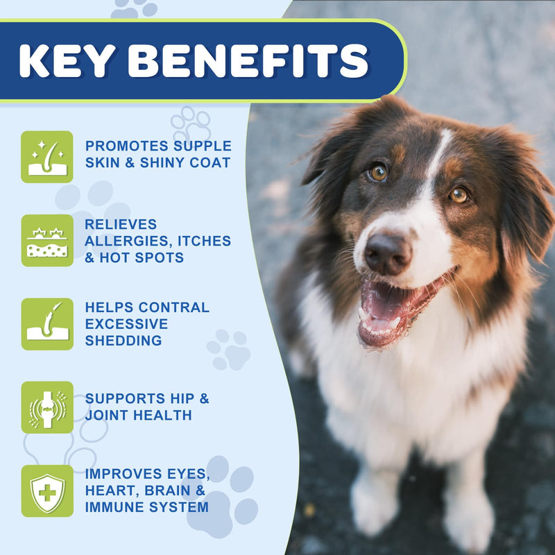 Omega 3 Fish Oil for Dogs, Salmon Oil Skin and Coat Supplement for Dogs Itchy Skin Relief with EPA & DHA Fatty Acids