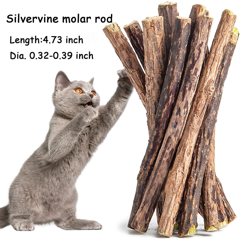 Natural Silvervine Sticks for Cats - 100% Wild Catnip Chew Sticks, Dental Care & Tartar Removal, Digestive Health, Kitten & Adult Cat Enrichment, 15pcs, High Potency Cat Attractant