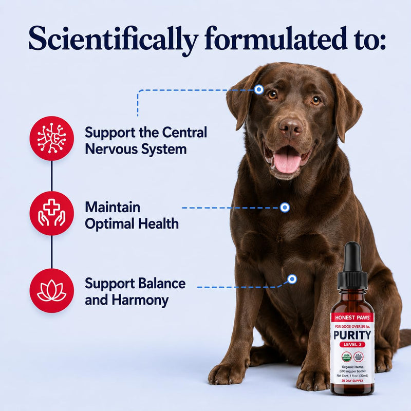 Honest Paws Hemp Oil for Dogs - Natural Hemp Seed Oil Drops Rich in Omega 3 6 9 - May Help Support Calm Behavior, Physical Comfort & Overall Wellness - Made in USA Level 3