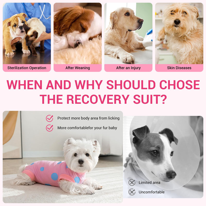 Lyneun Soft Dog Bodysuit After Surgery, Dog Bodysuit After Castration Male Female Dog, Adjustable Bodysuit Dog After Surgery, Breathable Surgery Bodysuit Dog for Hair Loss, Allergies, Anti-Licking, Wound Protection (Pink, L) Pink - BeesActive Australia