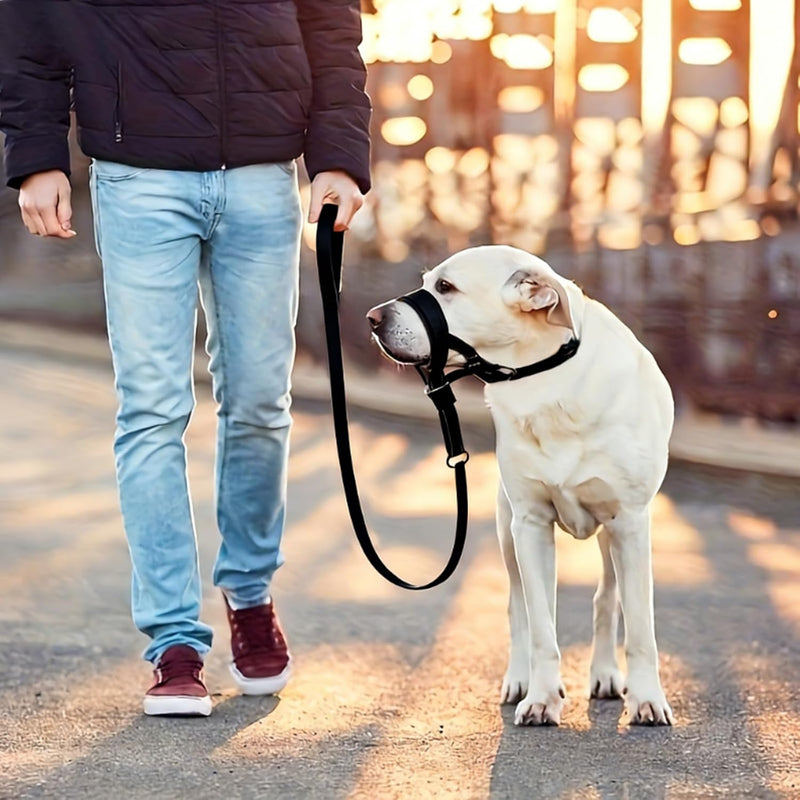 Adjustable Dog Head Halter with Safety Strap, Soft Padded Dog Head Collar for Small Medium Large Dogs, No-Pull Dog Harness for Training and Walking (Large, Black) L