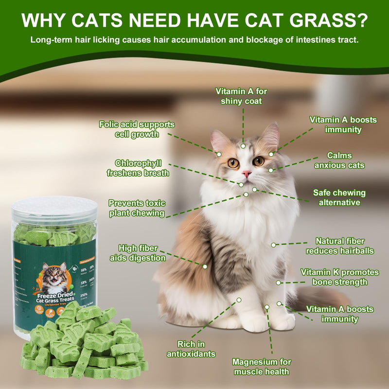 90g Cat Grass for Indoor Cats, Cat Grass Treats, Natural Freeze Dried Kitty Treats, Hairball Treatment for Cats, Edible Kitty Chew Toy Snack for Teething Hairball Removal 3.17 Ounce (Pack of 1)