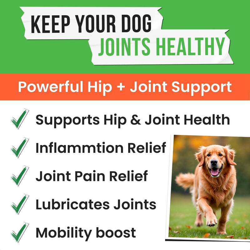 Hemp Treats - Dog Joint Supplement - Mobility Support Chews w/Glucosamine Chondroitin, Turmeric, MSM - Hip & Joint Chews - Joint Pain Relief Treats - 120Ct 120 Count Hemp Hip & Joint
