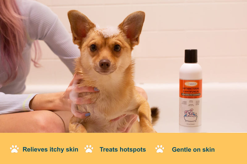 Classic's Lime Sulfur Pet Shampoo - Pet Care and Veterinary Solution for Itchy and Dry Skin - Safe for Dog, Cat, Puppy, Kitten, Horse - BeesActive Australia