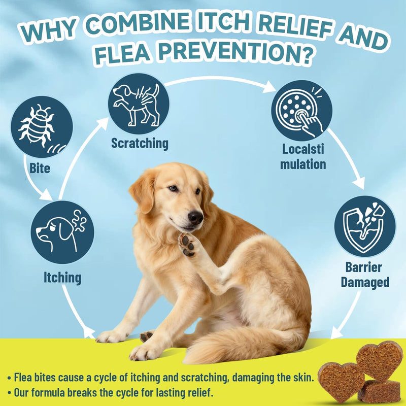Flea and Tick Prevention for Dogs Itching Skin Relief, 200 Chewable Flea and Tick for Dog with Skin & Coat Support, Itch Relief for Dogs, Oral Supplement for All Breeds & Ages, Chicken Flavor