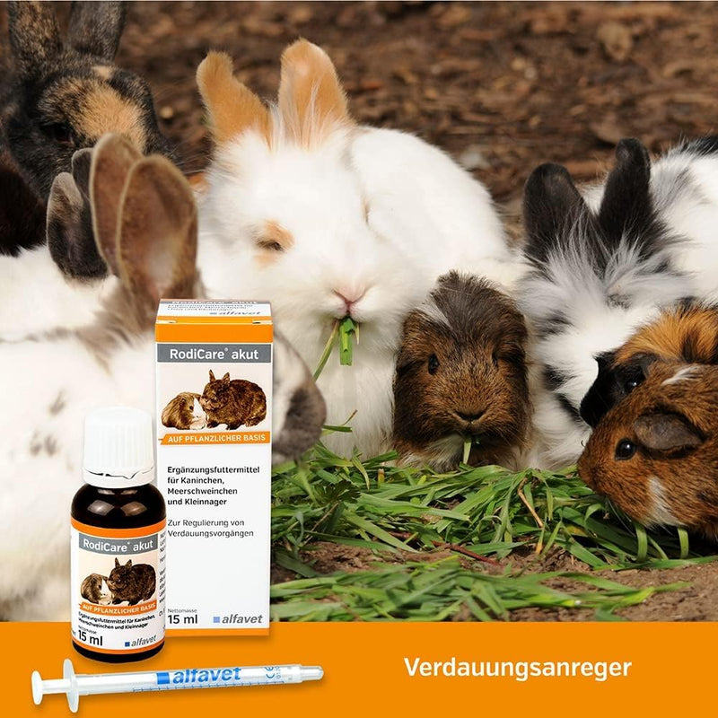 Alfavet RodiCare acute supplementary feed to regulate digestive processes for rabbits, guinea pigs and small rodents, 15 ml glass bottle with 15 ml dosing syringe (pack of 1) - BeesActive Australia
