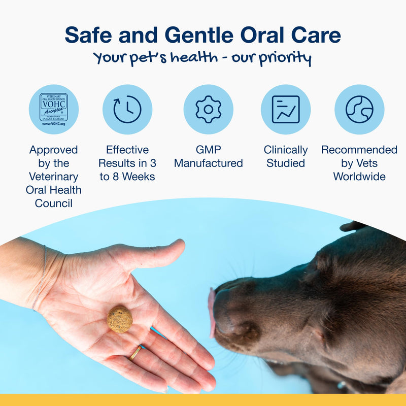 ProDen PlaqueOff Soft Chews with Organic Kelp - for Small & Medium Breed Dogs & Cats - Supports Normal, Healthy Teeth, Gums, and Breath Odor in Dogs & Cats - 45 Soft Chews Small Medium Breed Dogs 0.14 Ounce (Pack of 45)
