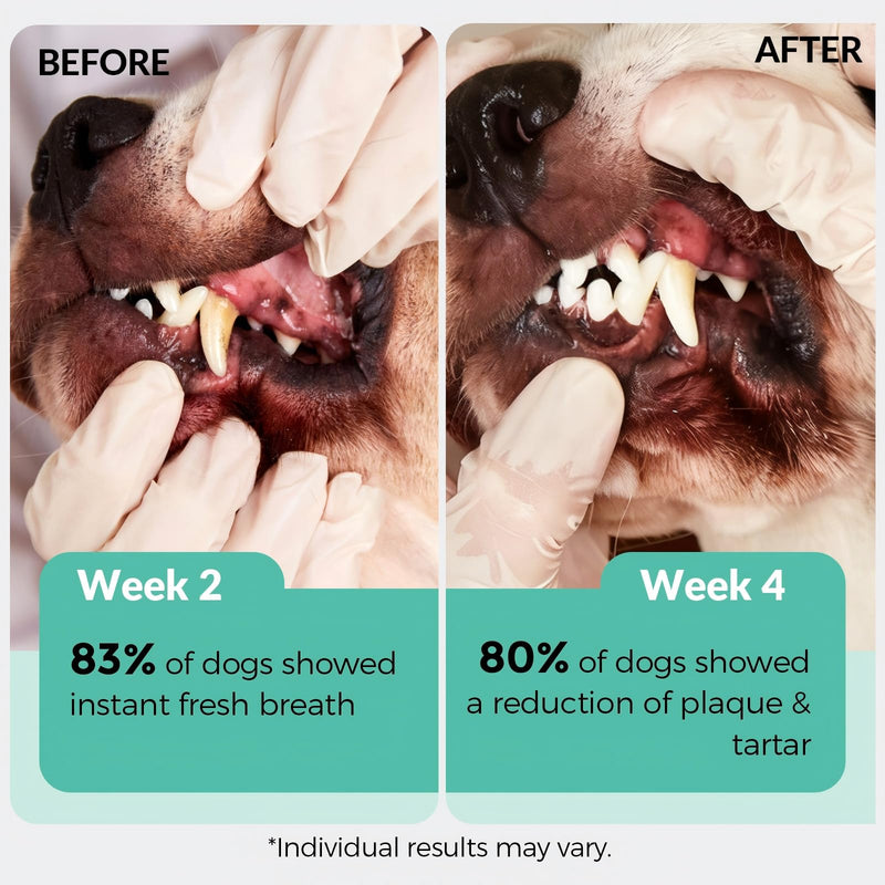 Dog Teeth Cleaning Powder - Dog Breath Freshener Dental Powder, Targets Tartar Remover, Bad Breath & Plaque Off, Natural Dental Care for Healthy Gums, for All Size Dogs, 174g