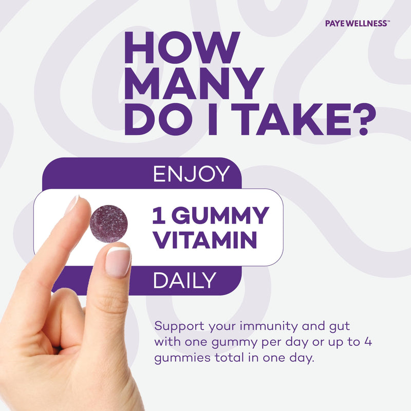 PAYÉ Elderberry Gummies, Vitamin C Immune Support Supplement + Probiotic Gut Health - Sambucus, Echinacea, Vitamin B, Zinc, Selenium, 70 Gummies for Adults and Kids 70 Gummies (Pack of 1)