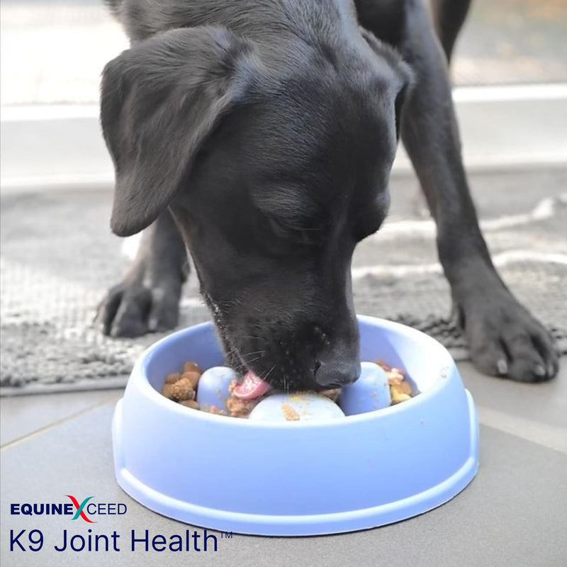 K9 Joint Health™ 90 Scoops - Joint Supplement for Adult/Senior dogs - Stiffness, hip & joint discomfort 144 Grams