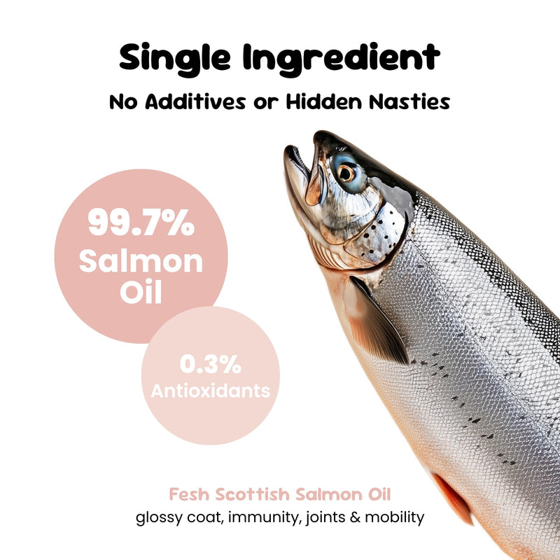 Scottish Salmon Oil for Dogs & Cats, 100% Natural Omega 3, 6, 9 Supplement, Itchy Skin & Coat Support, Joint Care, Heart & Immune Health & Cognitive Function, Made in UK - 500 ml