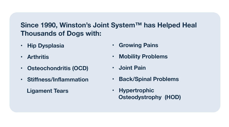 Joint System - for Smaller Dogs Under 40 Pounds - 100% Natural Whole Food Supplement System for Arthritis, Hip Dysplasia and Joint + Pain Relief - One Month Supply - Since 1992 - PawsPlanet Australia