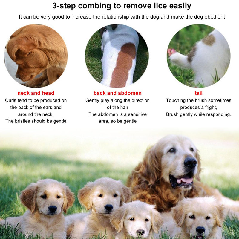 Cat fur comb, dog detangling comb, dog comb, combination comb for dogs, brush against fleas undercoat, cat comb with double-sided metal rounded teeth, flea comb for cats, cat comb, 2 pieces, red + blue - BeesActive Australia