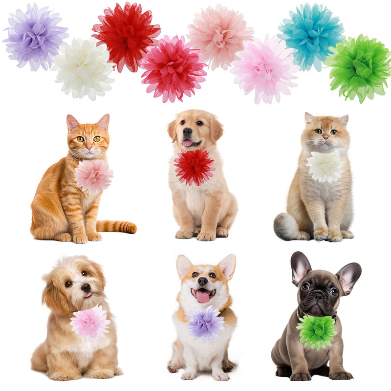 8 Pcs Dog Collar Flowers Pet Collar Flowers Dog Collar Charms Dog Bows Girl Dog Accessories Dog Bows with Rubber Bands - BeesActive Australia