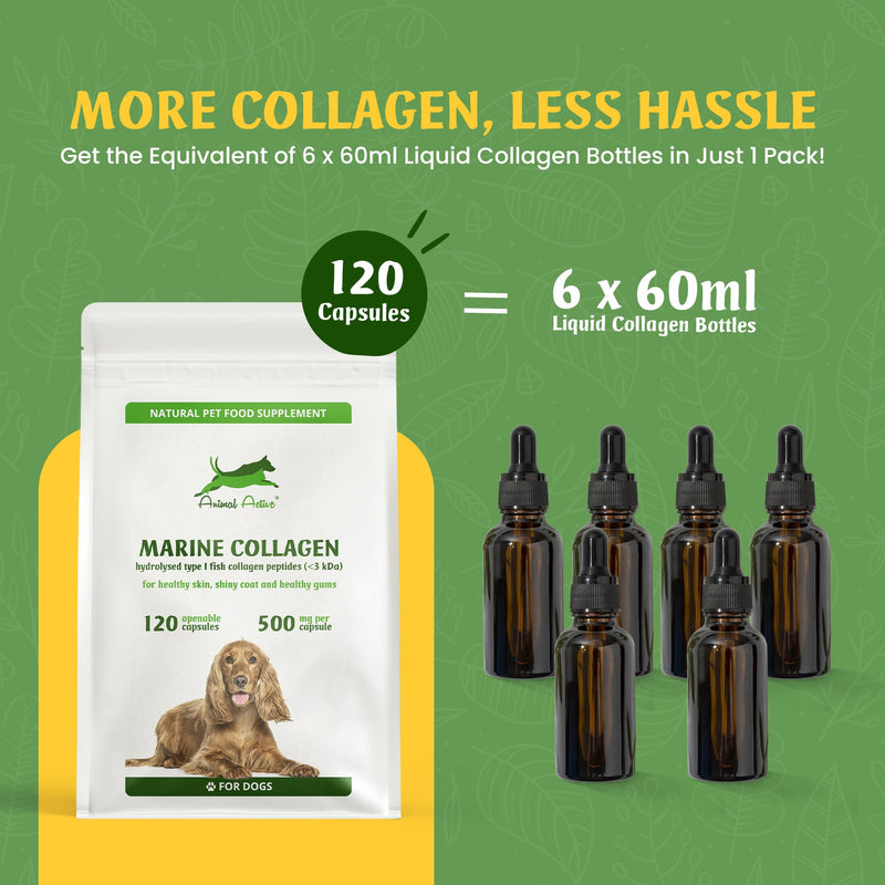 Marine Collagen for Dogs, Supports Dry and Itchy Skin, Shiny Coat & Healthy Gums, Premium Micronised Peptides, Skin Health Dog Supplement, 120 x 500mg Open & Sprinkle Capsules