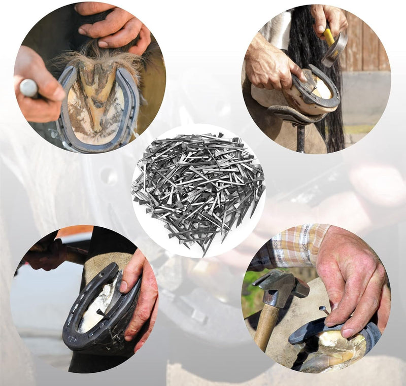 250PCS Horseshoe Nails, Horseshoes Equipment Equestrian Sport Equipment Horse Training Supplies Tool 2.1 Inch E6 Hoof Nails for Horse Race - BeesActive Australia