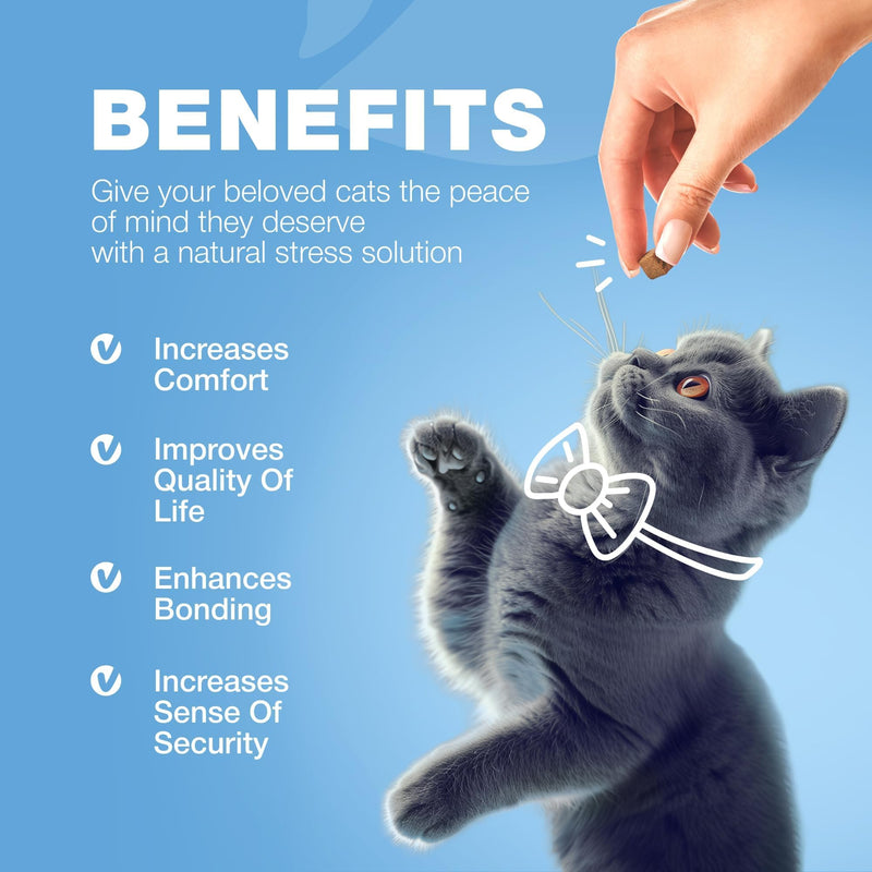 Cat Calming Treats - Hemp Calming Care for Cats - Cat Melatonin Soft Chews with Hemp Seed Oil and Probiotics - Cat Anxiety Relief - Storms, Travel, Grooming, Separation - Calming Chews for Cats 140 count
