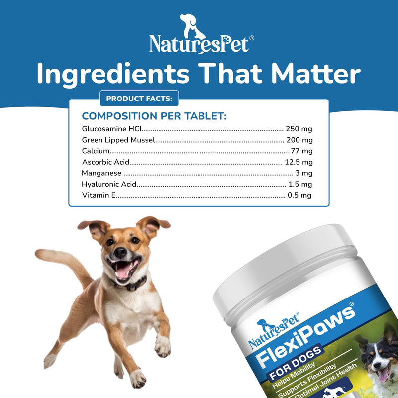 FLEXIPAWS – Joint Supplement for Adult Dogs (120 Chewable Tablets) | Glucosamine, Chondroitin & Green Lipped Mussel for Mobility, hip & joint care for dogs | Liver Flavour