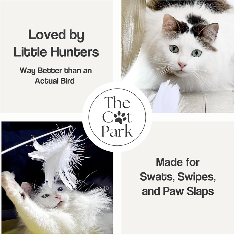 Cat Park Cat Wand Toys for Indoor Cats - 2PCS Interactive Cat Toy Wand with 4 Cat Feather Toys Refills, 27" Flexible Steel Wire, Sturdy Wood Handle & Bell, Fun Kitten or Cat Teaser Toy to Play, Chase - BeesActive Australia