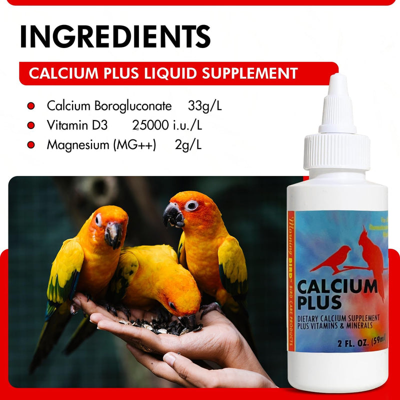 Morning Bird Calcium Plus Liquid Supplement for Birds - Liquid Calcium Formula with Magnesium and Vitamin D3 Calcium Supplement for All Birds – 2 Fl Oz - BeesActive Australia