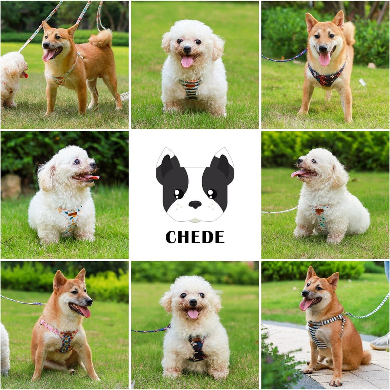 CHEDE No Pull Floral Pattern Dog Harness- Lightweight and Soft Dog Harness, Adjustable Small Dog Harness and Leash Set, with Dog Leash, Suitable for Puppy Small and Medium-Sized Dog S Pink Floral - BeesActive Australia