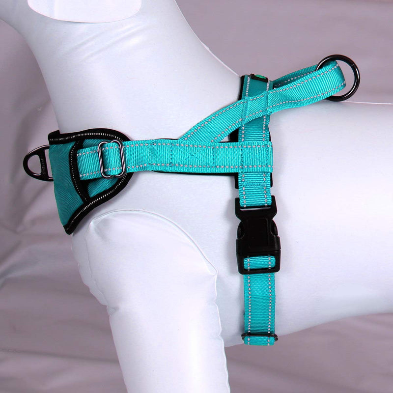 Max and Neo Passport Reflective Dog Harness - We Donate a Harness to a Dog Rescue for Every Harness Sold (Large (23"-30" Chest Girth), Teal) LARGE (23"-30" CHEST GIRTH) - BeesActive Australia
