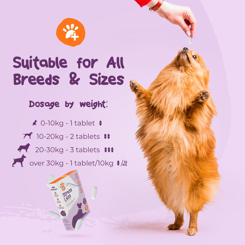 Stress Less Calming Chews - soft chew treat supplement for dogs and cats - help keep pets calm and anxiety & stress free during fireworks, Christmas, periods of separation - 60 chews per jar
